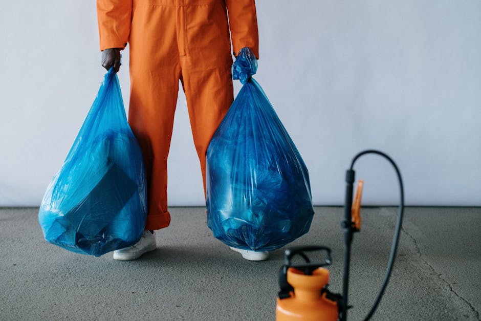Kensington and Chelsea council bulky waste rules for removals